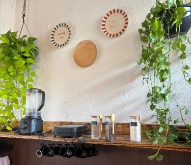 Flamengo House | Villanostra