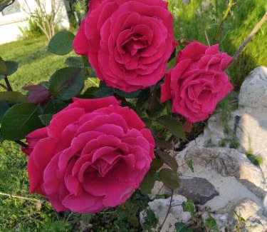 Saint-Paul-les-Dax House | Villas Paradis