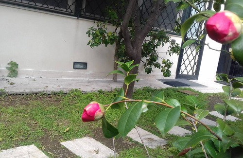 Torre Annunziata House | Villino Michel three-room apartment a stone's throw from the center of Torre Annunziata