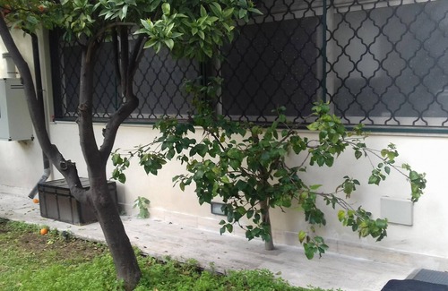 Torre Annunziata House | Villino Michel three-room apartment a stone's throw from the center of Torre Annunziata