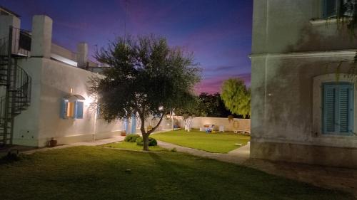 Mola di Bari Bed & Breakfast | Villino Tronchetto Bianco