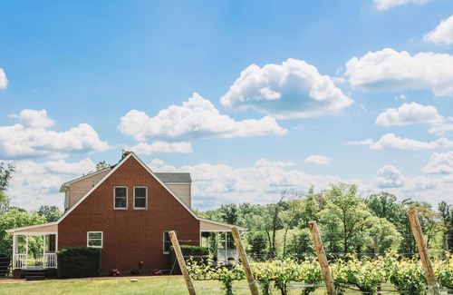 Huntly House | Vineyard Cottage w/BBQ & Scenic Views
