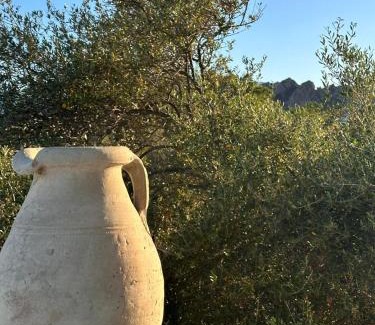 Santa Maria Navarrese House | Vireo Rooms