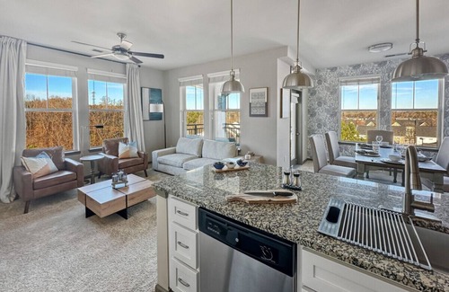 Cornelius Apartment | Vista at Antiquity 2-Kings, Queen & Elevator
