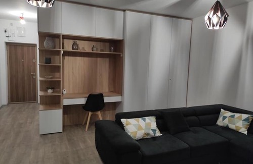 Timisoara Apartment | Vivasoara, Like at the hotel