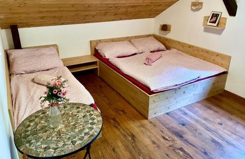 Ridec House | VLADIMÍR, rekreační středisko
