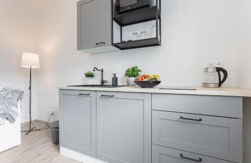 Rokytnice nad Jizerou Apartment | Vlevo dole Koko Apartment by Správa ubytka