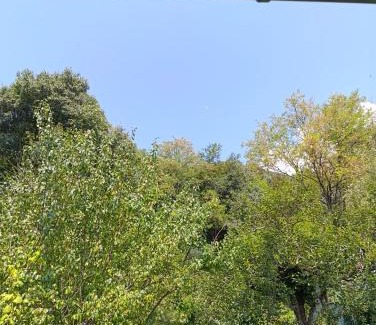 Borso del Grappa House | vololiberoapartments