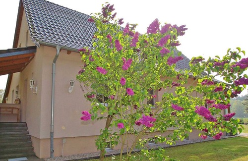 Torgelow-Hollanderei Apartment | VORP 2981 - small apartment below - Apartments at the forest - Torgelow VORP 2980