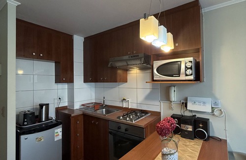 Downtown Santiago Apartment | Vr Suite Santiago