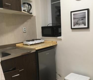 Jesenik Apartment | Vybavená garsonka v cihlovém domě v centru