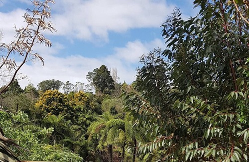 New Plymouth Apartment | Walk in the forest and cycle to the sea