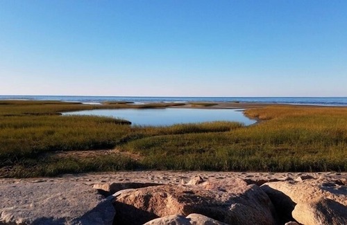Brewster Cottage | Walk to Bay Side Beach AC WiFi Updated cozy cottage