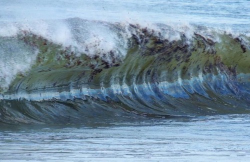 Misquamicut Apartment | Walk to the Beach Unit 6