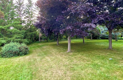 Wellington House | Walk to Wellington, bike to wineries, huge yard