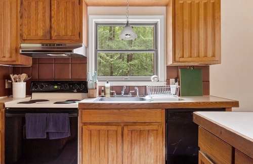 Taconic House | Walt’s Place: Sun-Bathed Modern Cabin in the Woods