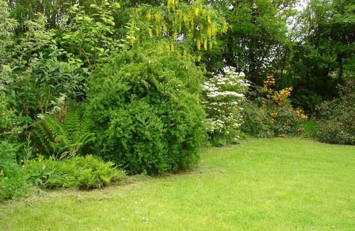 Redruth House | Watch the badgers from the window in a beautiful & peaceful countryside setting
