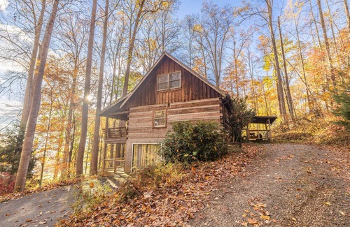 Candler Cabin | Water & Power! Dog Friendly Cabin with Fenced Yard, Hot Tub