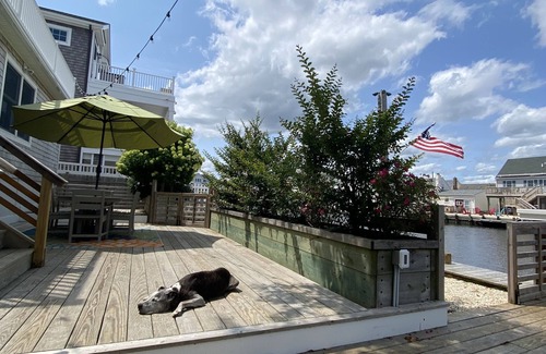 Beach Haven West House | Waterfront oasis awaits. 2 Decks! Minutes to LBI