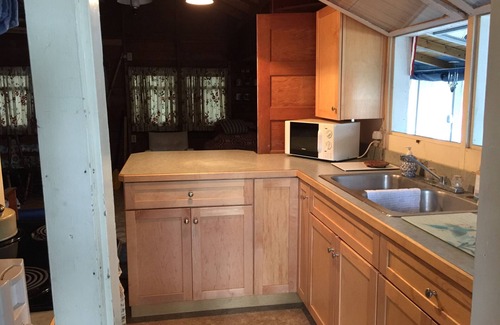 Tully Cabin | Waterfront, Rustic Cabin, Great Swimming, Own Dock, Raft