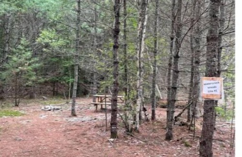 Limerick RV Rental | Watersrock Woods Camp Site 1