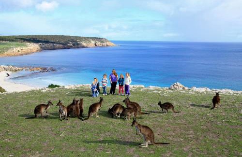 Cassini Cabin | Waves & Wildlife Cottages Kangaroo Island