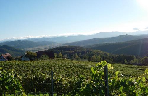 Fresing House | Weingut Schlafgut Genussgut Lorenz