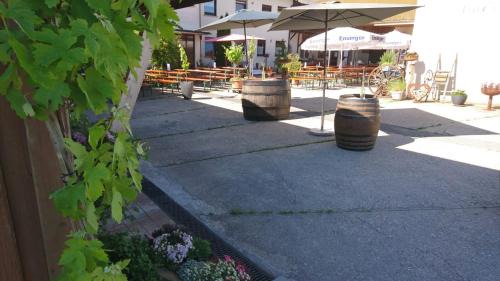 Schwaigern Apartment | Weingut Will & Würz Riesling