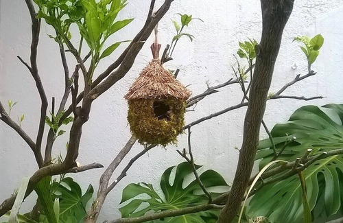 Praia das Macas House | Welcome ! Bienvenue ! Bienvenido !
