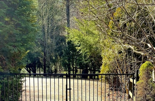 Tarheel Cabin | Welcome to Black Clock Cabin. Relax and enjoy the peaceful sounds of nature.