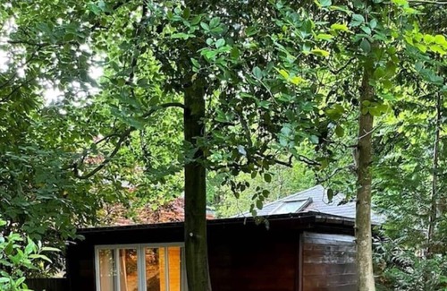 Southampton Cabin | Welcome to country Lodge surrounded by trees