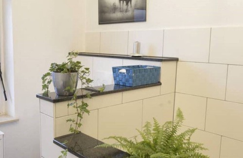 Schleiden Apartment | Welcome to the Imperial Court Post