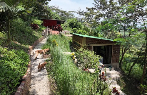 Vergara House | Welcoming 1-bedroom bungalow in Cundinamarca