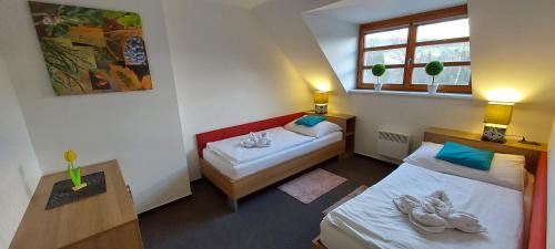 Ricky v Orlickych horach Apartment | Wellness apartmány Říčky v Orlických horách