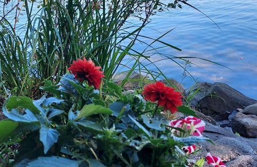 Abbot House | Whetstone Pond Cottage on the Lake