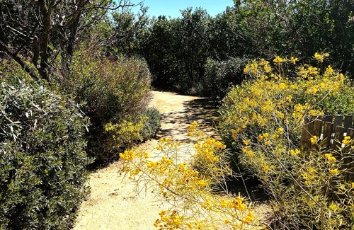Santa Ynez House | Whispering Hills Ranch 5 minutes from Wine Trail