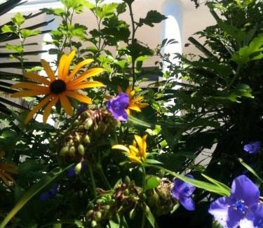 Makhinjauri House | White Guest House