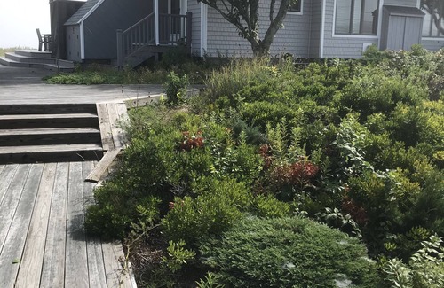 Plymouth House | White horse beach -Bright water front condo - 2 month rental July - August