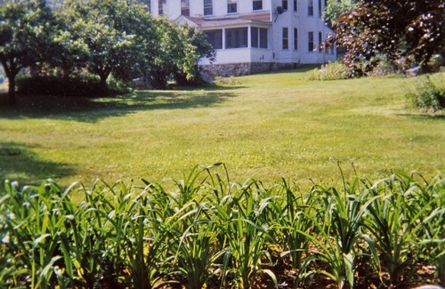 Chocorua House | White Mountain Winter Wonderland. 15 minutes to King Pine! Beautiful home.