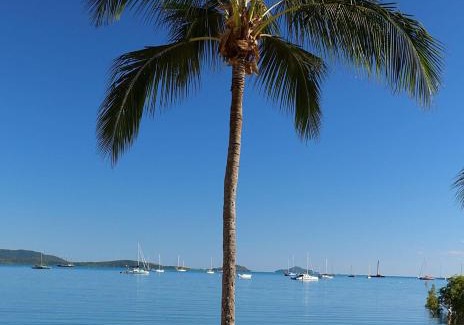 Cannonvale Apartment | Whitsunday Pandanus-Stylish 2 bedroom townhouse in quiet location