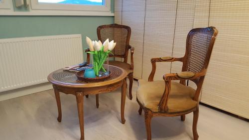 Stronie Slaskie Apartment | Widok na góry