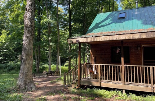 Elmira Cabin | WIFI- SMART TV TO STREAM- KICK BACK-RELAX-DOG FRIENDLY