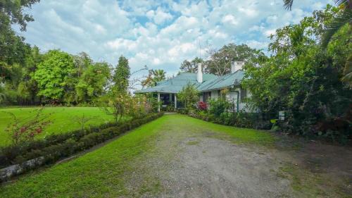 Balipara House | Wild Mahseer