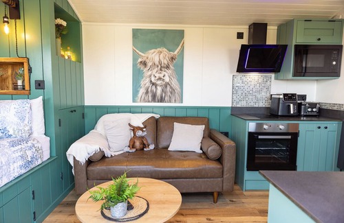 Saundersfoot Cottage | Willows Rest - 1 Bed Shepherd's Hut - Pentlepoir