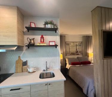 April Sound Apartment | Window to Paris Studio on Lake Conroe