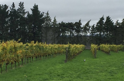 Waipara Bed & Breakfast | Wine Vineyard B & B with Room service