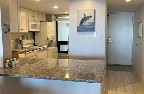 North End Condo | Winter rental, 2 to 5 months,beutiful 7th floor condo unit in premier location
