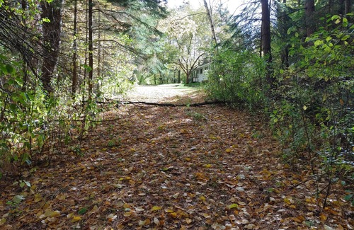 Rhinelander House | Wintergreen Pelican River Retreat #2nnNo cleaning fee