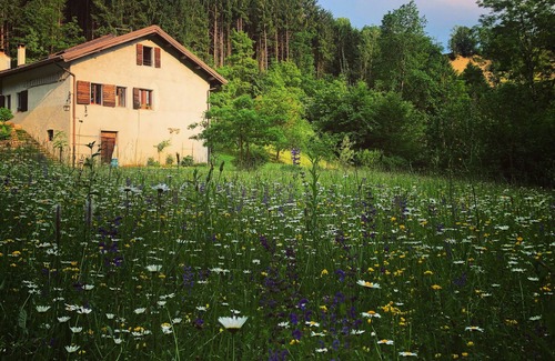 Soranzen Bed & Breakfast | With sauna and hot tub in the woods, river side. Next to Dolomiti National Park