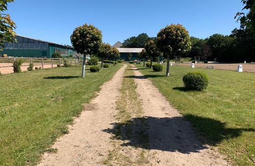Gueby Apartment | Wohnung Honeymoon - Hof Eckhorst